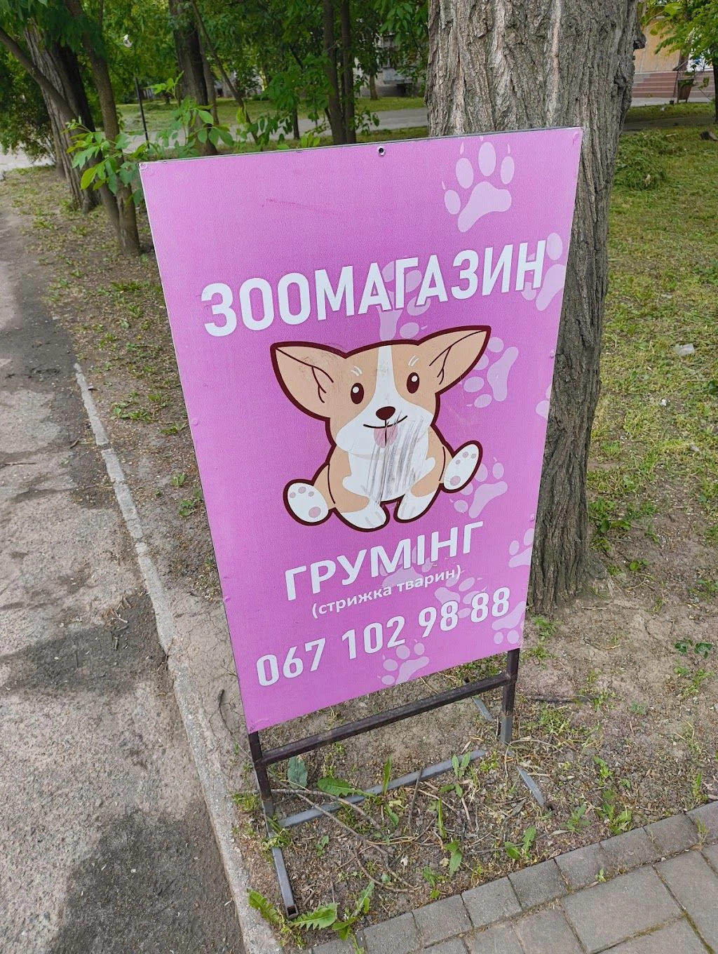 Зоомагазин та грумінг — фото 2