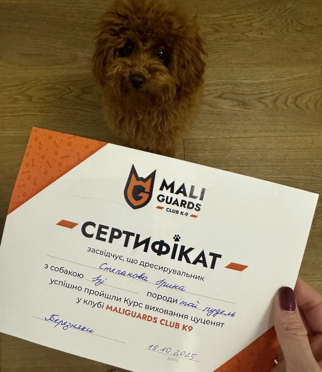Дресирування собак "MaliGuards Club K9" — фото 5
