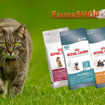 Фото бізнесу Магазин зоотоварів «Faunashop»
