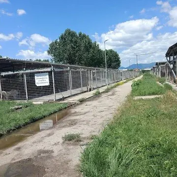 Фото бізнесу Общински приют за кучета на „Екоравновесие“, с. Горни Богров