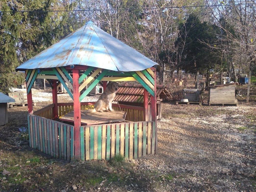 Приют за безстопанствени животни, гр. Русе — фото 4