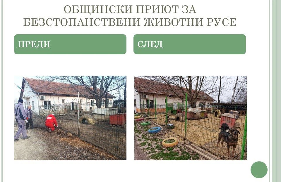 Приют за безстопанствени животни, гр. Русе — фото 8