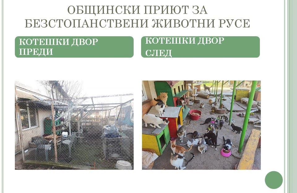 Приют за безстопанствени животни, гр. Русе — фото 7