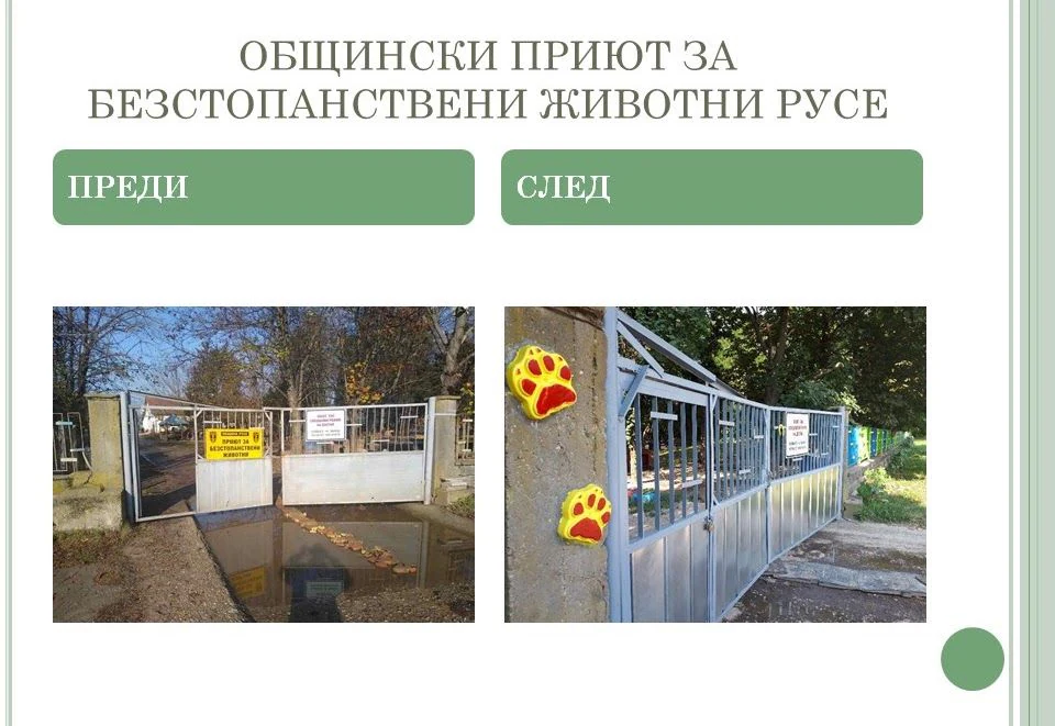 Приют за безстопанствени животни, гр. Русе — фото 9