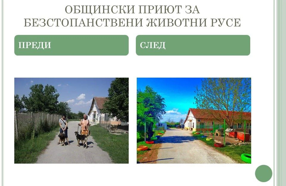 Приют за безстопанствени животни, гр. Русе — фото 10
