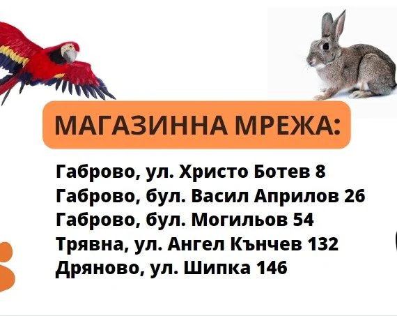 Зоомагазин "Рокси Маркет" ЕООД, ул. Христо Ботев 8 — фото 6