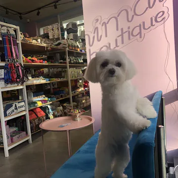 Фото бізнесу Зоомагазин "Animal boutique"