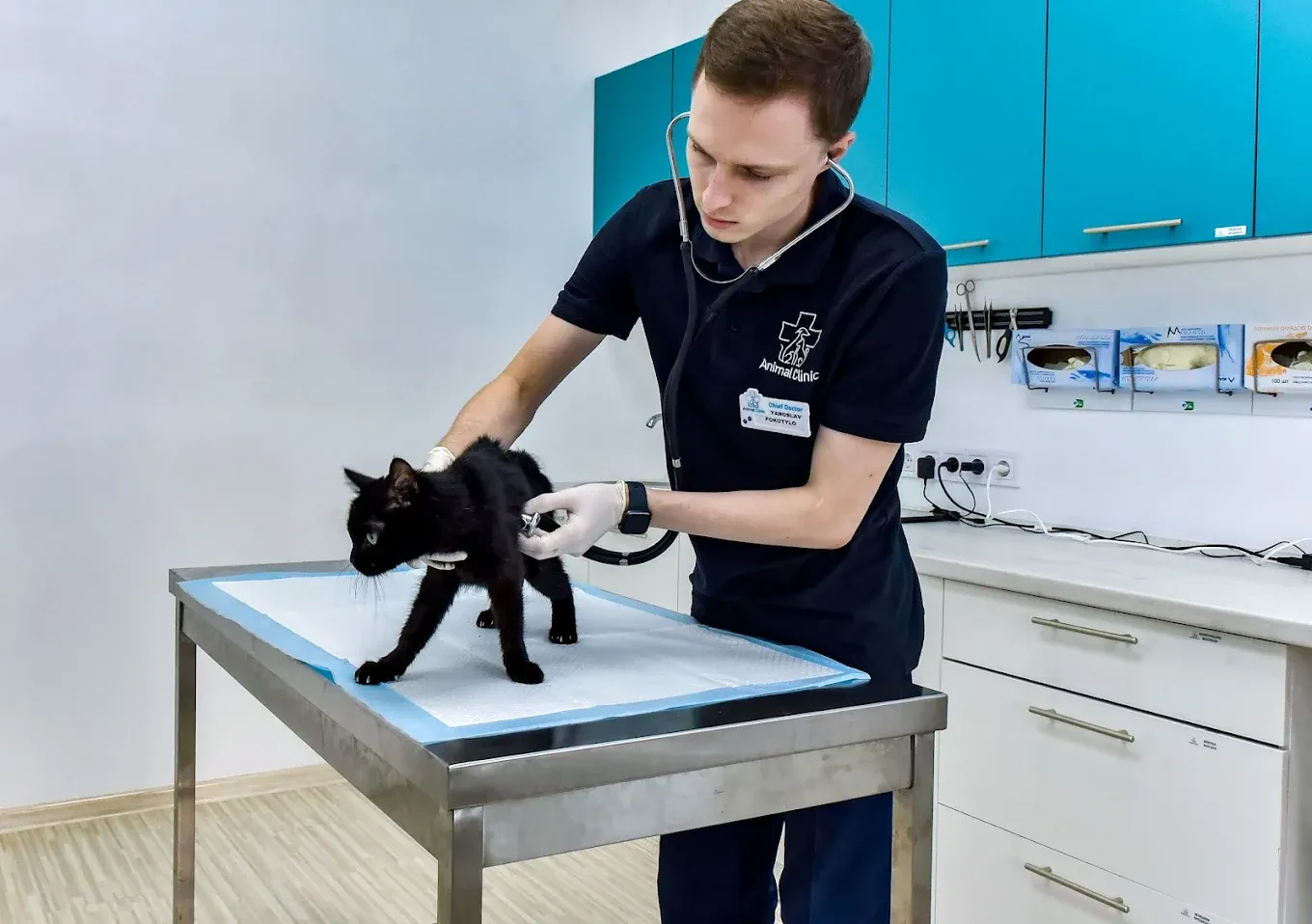 Ветеринарна клініка, Грумінг "Animal Clinic" — фото 8