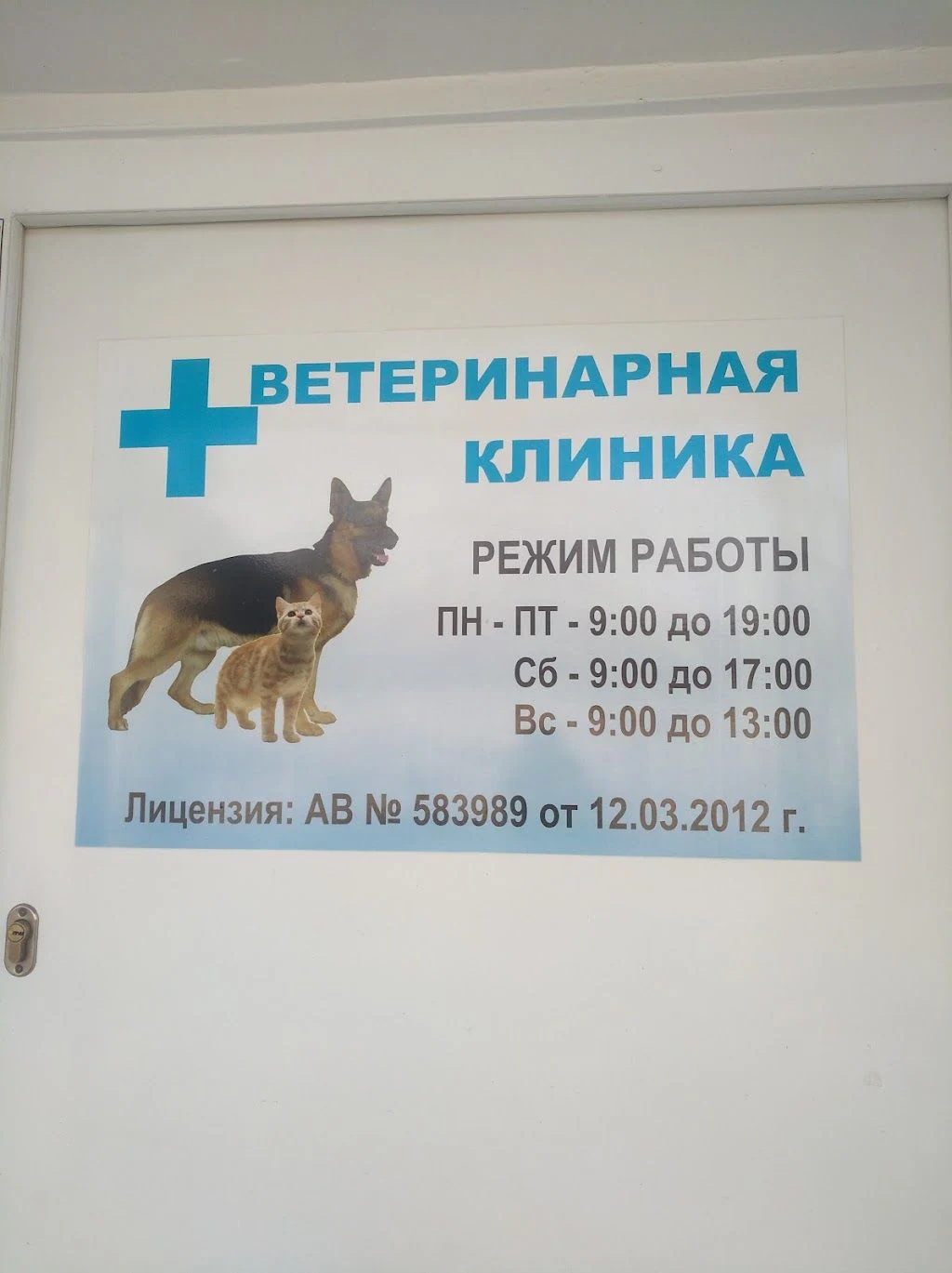 Ветеринарна допомога — фото 4