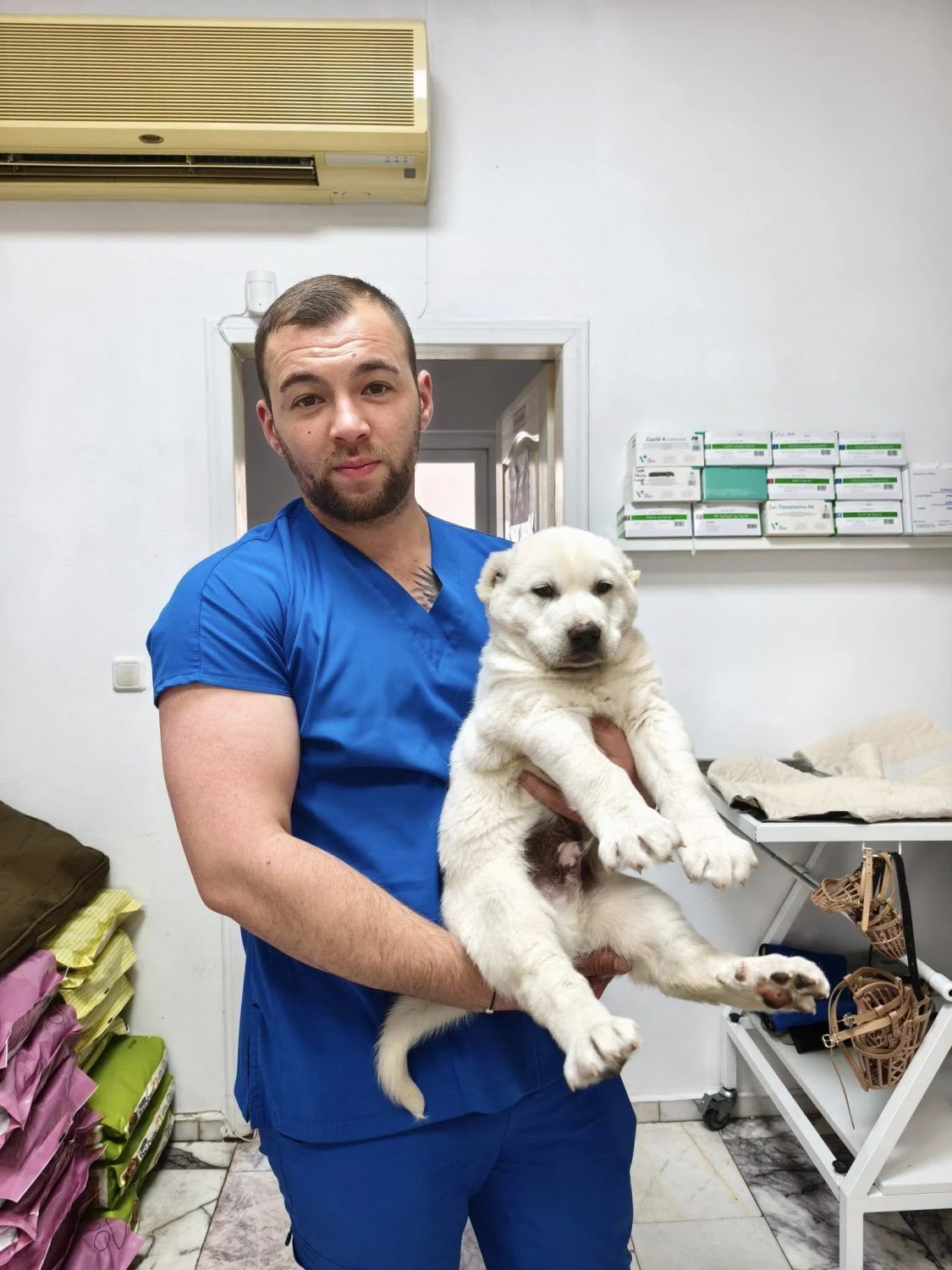 Ветеринарна амбулатория "Animal Health" — фото 3