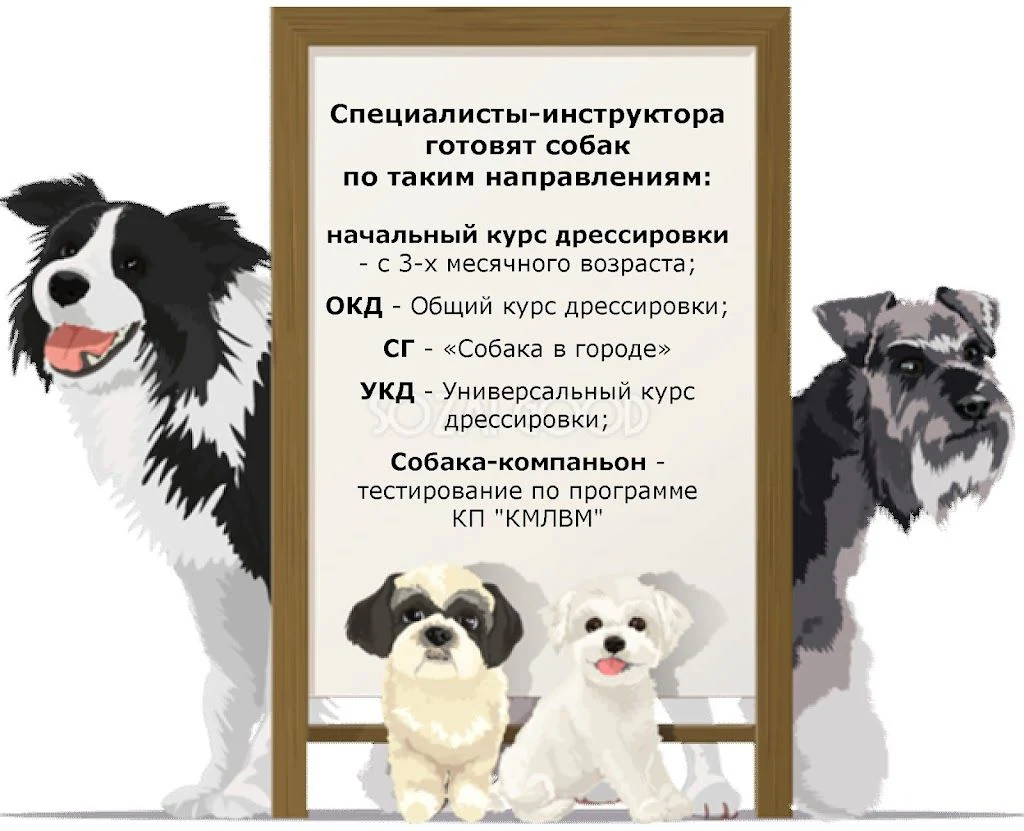 Парк для собак "Острівець вільних та вихованих" — фото 5