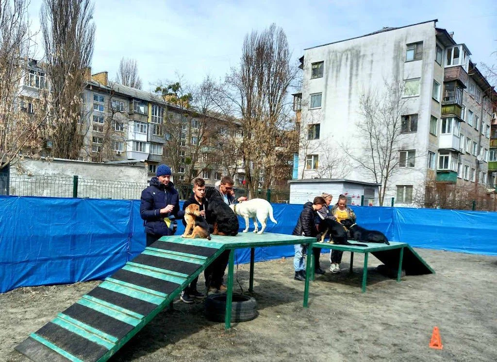 Парк для собак "Острівець вільних та вихованих" — фото 2