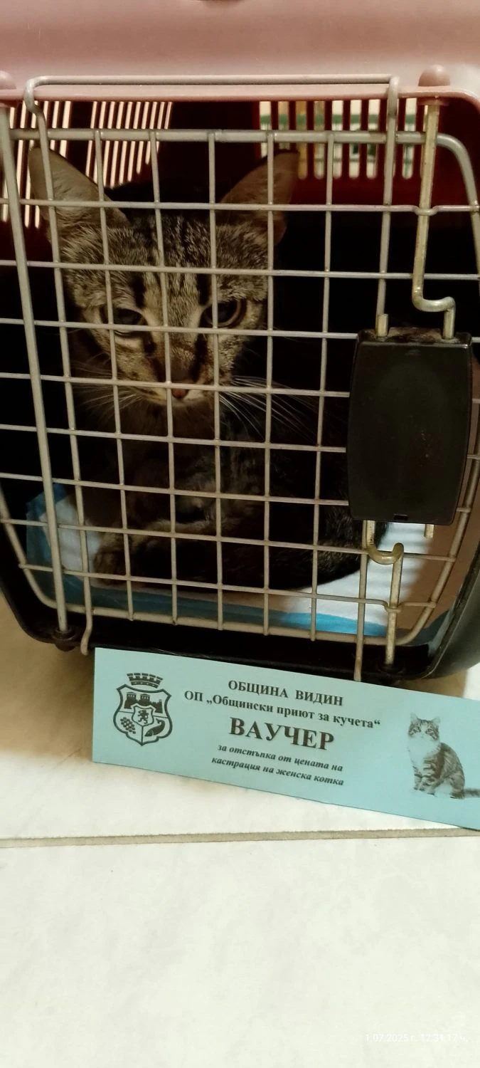 Ветеринарна клиника и зоомагазин "Форест" — фото 7