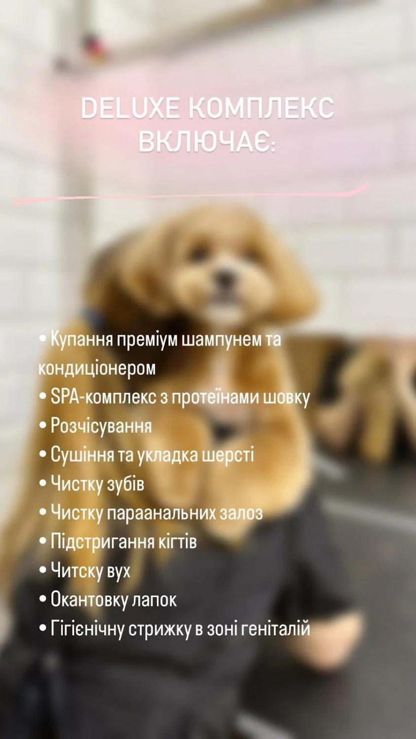 Перукарня для собак і котів "V.O.G DOG SALON" — фото 5