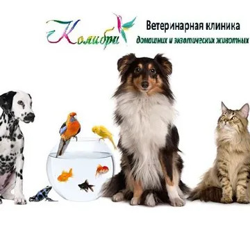 Фото бізнесу Ветеринарна клініка "Колібрі"
