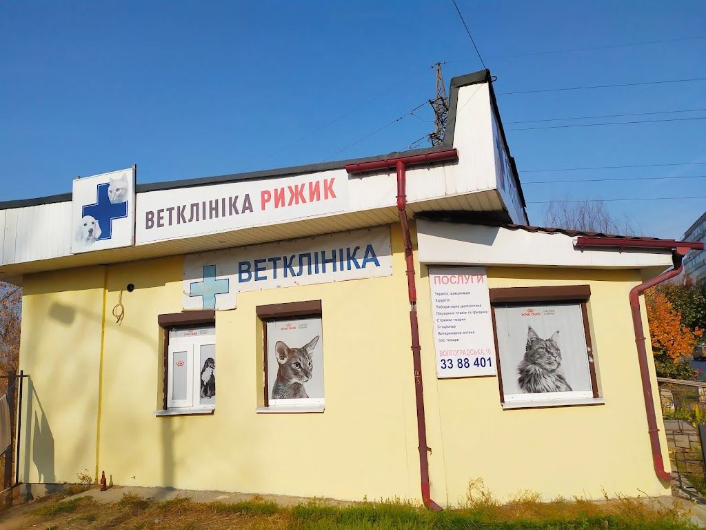 Ветеринарна клініка "Рижик" — фото 2