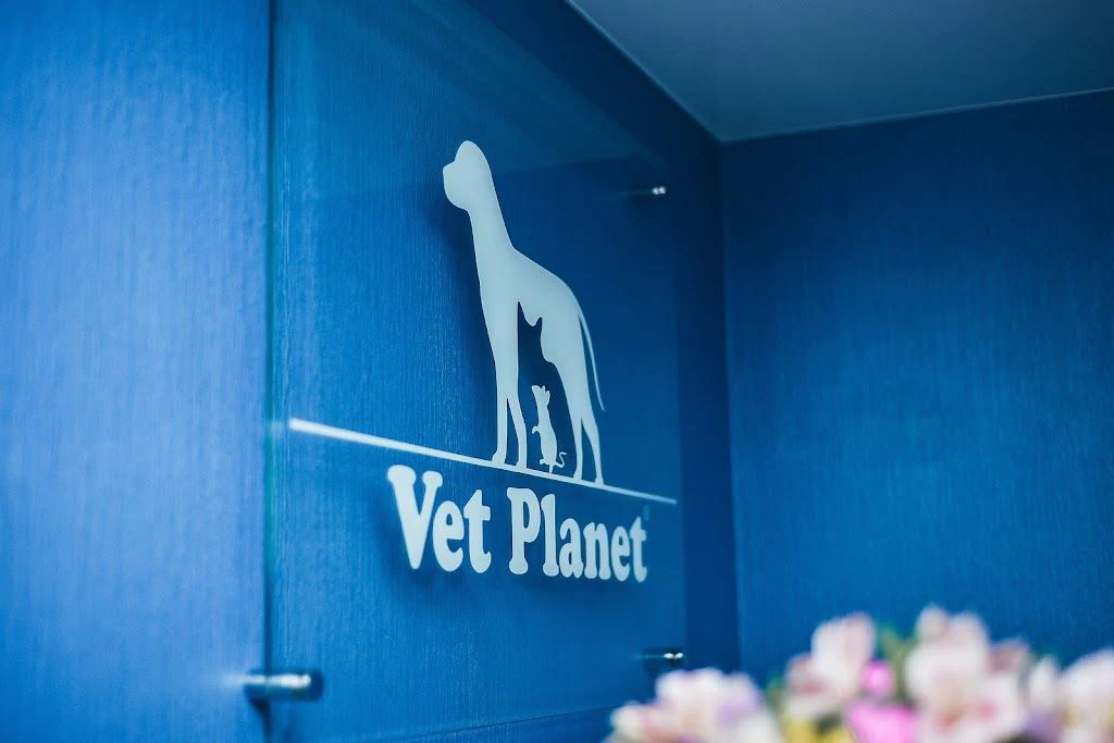 Ветеринарна лікарня "Vet Planet" — фото 4