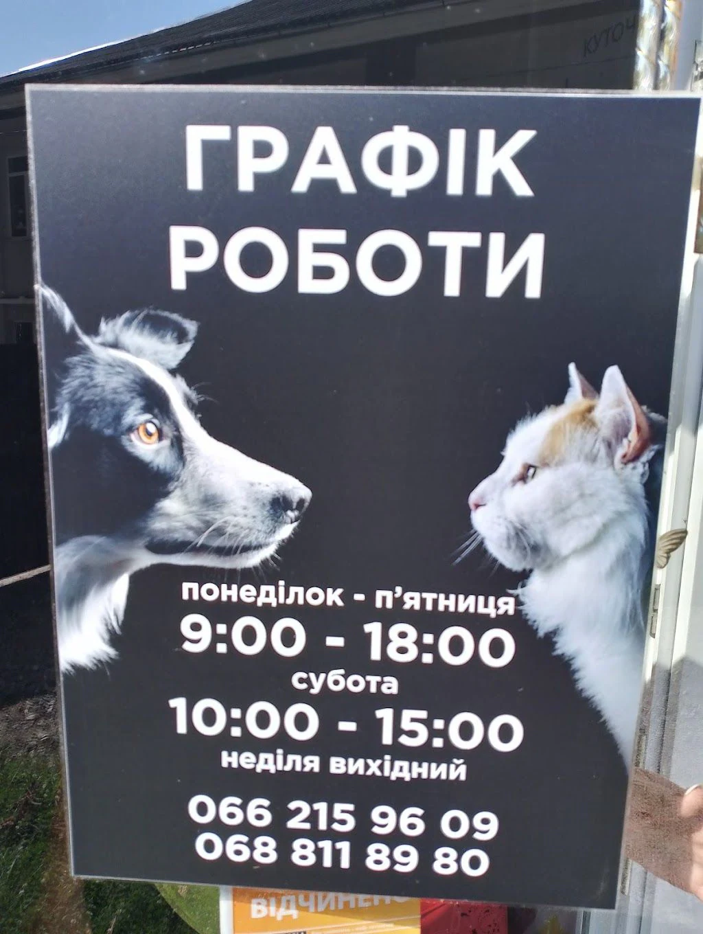 Ветеринарна клініка "ЗооМаркет" — фото 5