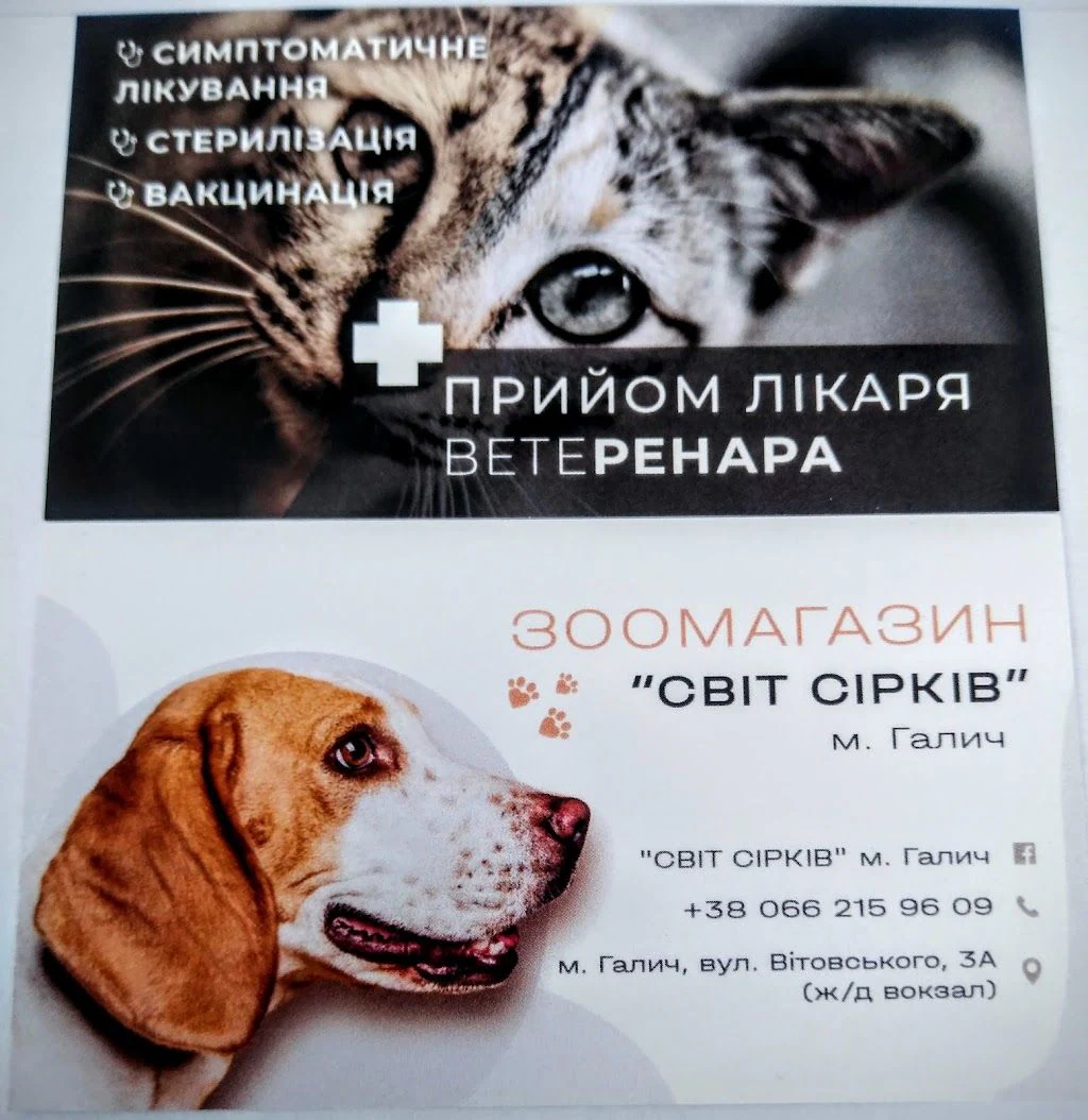 Ветеринарна клініка "ЗооМаркет" — фото 2